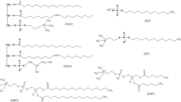 Figura 1.8 – Estruturas químicas de fosfolipídeos comumente empregados em  formulações de micelas, bicelas e vesículas