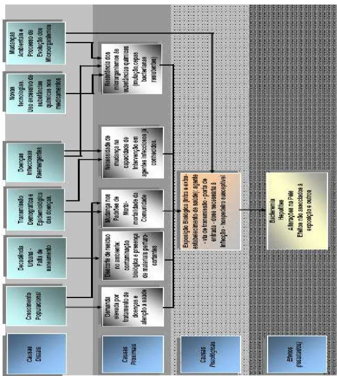 Figura 1 - Rede Causal da Exposição Biológica Relacionada aos RSS  Fonte Silva et al (2001, apud de Pruss et al., 2001) 