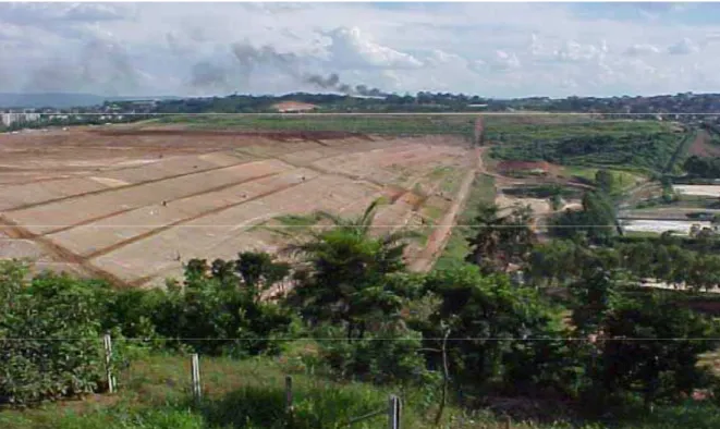 Figura 6 - Aterro sanitário delimitado por vegetação e bairros (novembro de 2004). 