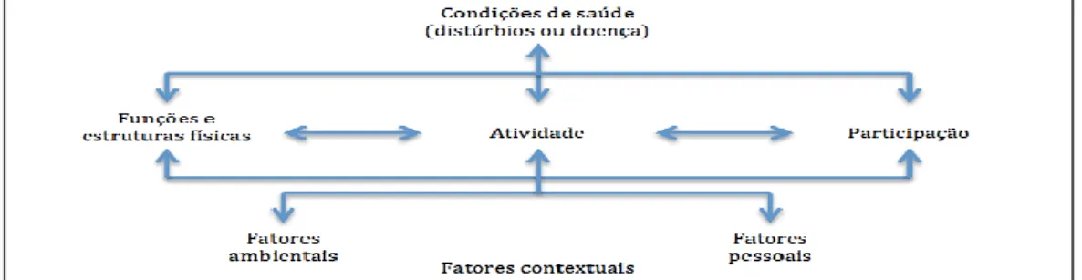 Figura 5: CIF - Níveis de Funcionalidade 