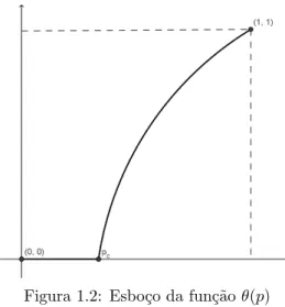 Figura 1.2: Esbo¸co da fun¸c˜ ao θ(p)