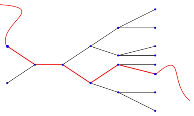 Figura 3.2: Caminho duplamente infinito em T.