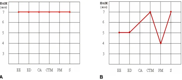 Figura 1: Perfil Neurológico de Desenvolvimento elaborado a partir da idade de execução das diferentes provas  do ENE