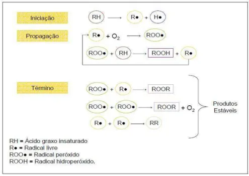 Figura 3. Esquema geral do mecanismo da oxidação lipídica  Fonte: Ramalho e Jorge (2006)