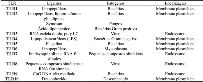 Tabela 1: TLR, ligantes, patógenos associados a estes e localização celular. 