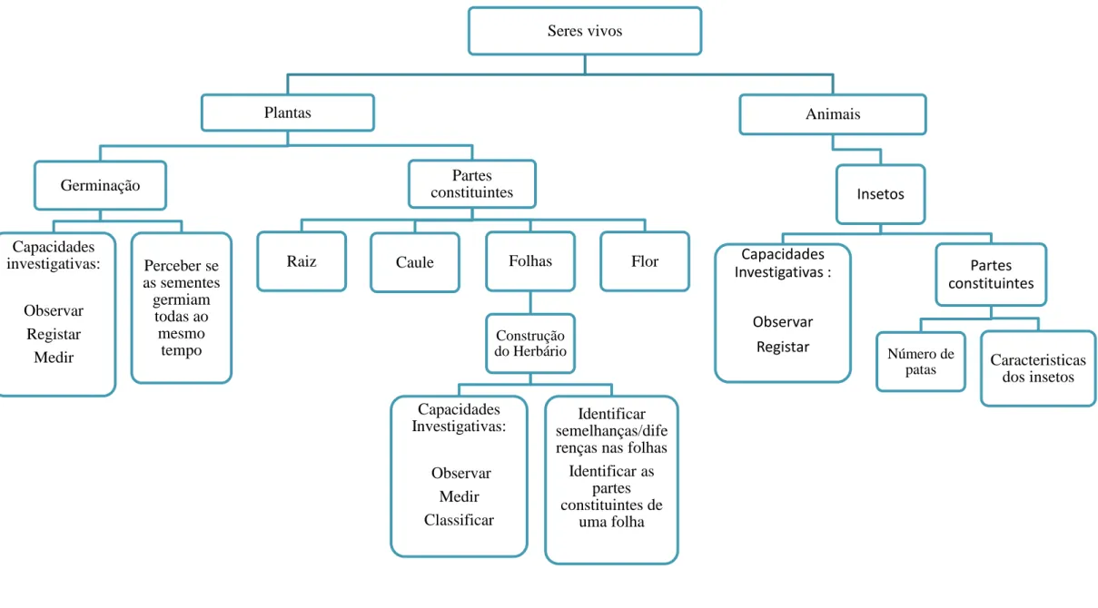 Figura 15 - Esquema Global 