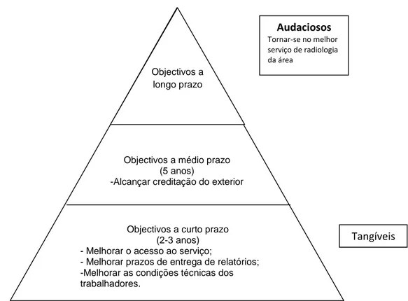 Figura 9 – Níveis de Objectivos 