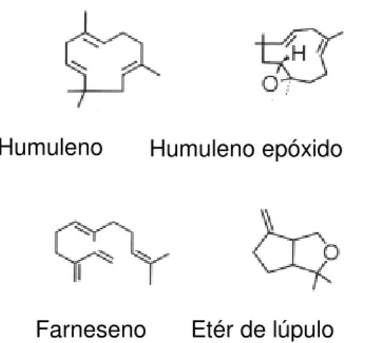 Figura 1.  Alguns componentes presentes nos óleos essenciais do lúpulo.               FONTE: BAMFORTH (2000).