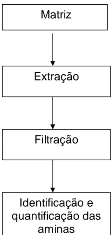 Figura 6.  Etapas para determinação das aminas bioativas nas frutas.                 Fonte: ADÃO &amp; GLÓRIA (2005)