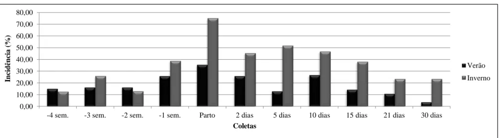 Tabela  9:  Incidência  de  hipomagnesemia  (concentração  sérica  de  Mg&lt;1,7  mg  /dL;  Dalley,  1992)  no  periparto  de  vacas  mestiças  pluríparas  em  sistema  semi-intensivo em duas épocas do ano