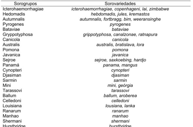 Tabela 1. Sorogrupos e algumas sorovariedades de Leptospira interrogans lato sensu.
