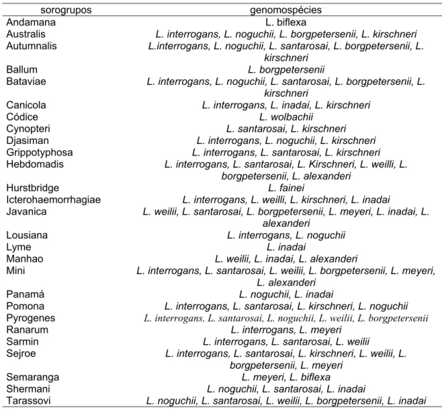 Tabela 2. Genomospécies de leptospiras associados aos sorogrupos, segundo a classificação genotípica.