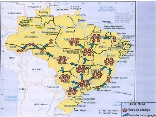 FIGURA 2 – Distribuição cronológica dos focos de PFE/FS no  Brasil, período de 1900 a 2001 (EMPINOTTI, 2004)
