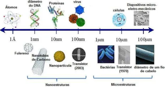 Figura 1.1 – Ordem de grandeza de diversas estruturas.