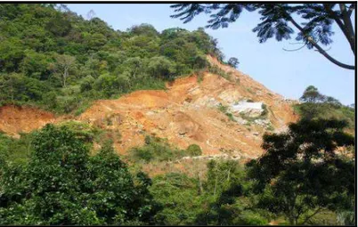 FIGURA 8: Lavra de “pedra-sabão” na localidade de Bandeira, distrito de Santa Rita de Ouro Preto 