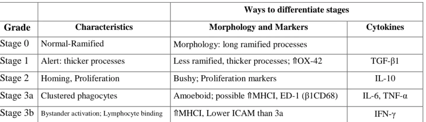 Tabela  1  –  Microglial  activation  can  be  differentiated  based  on  morphology,  marker  expression, and cytokine secretions