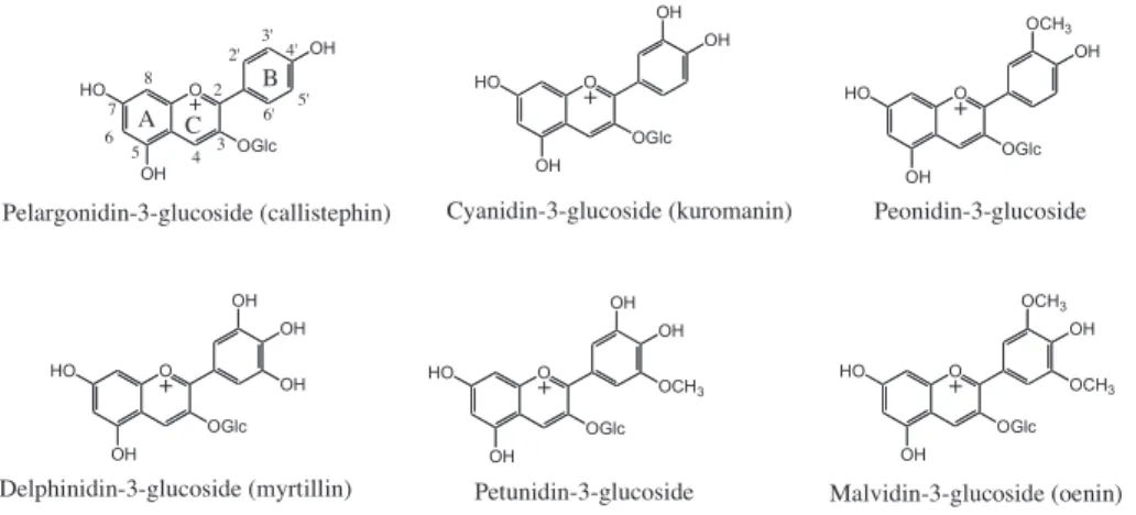 Fig. 1. (A) Ellipticity of petunidin-3-glucoside as a function of concentration (up to 10 ÿ3 M); (B) molar ellipticity at the first (539 nm) and second (461 nm) cotton bands.