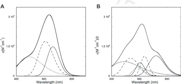 Fig. 4. (A) Spectral decomposition of the monomer of oenin. Vibrational bands of the first absorption 0–0 (full line) and 0–1 (traced line); second singlet (pointed line): (B) spectral decomposition of the three bands upon aggregation (dimer)