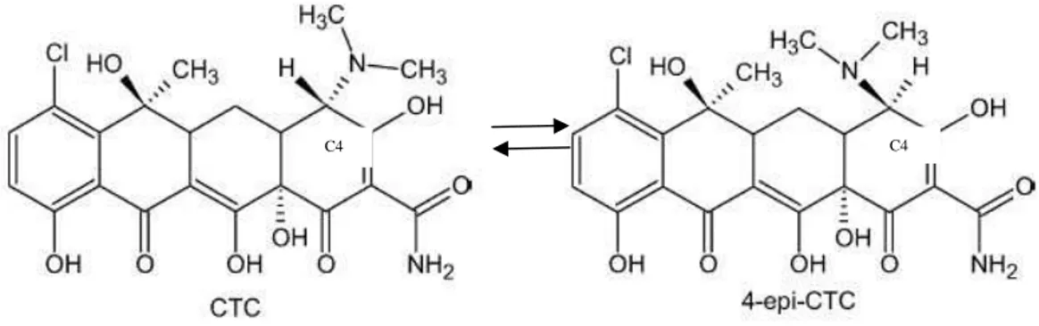 Figura 5. Reação de epimerização da clortetraciclina.  Fonte: Posyniak et al., 2005. 