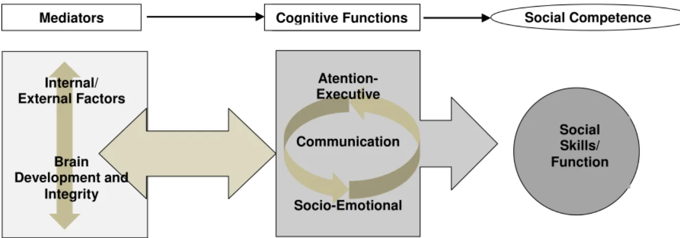 Figura 1. Esquema do Modelo SOCIAL: Socio-Cognitive Integration of Abilities Model      Fonte