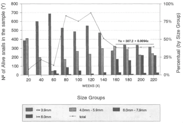 Figure 5 shows the comparative percentage mortality rates for each of the Biomphalaria strains studied, according to size-groups at the end of 220th week observation period.
