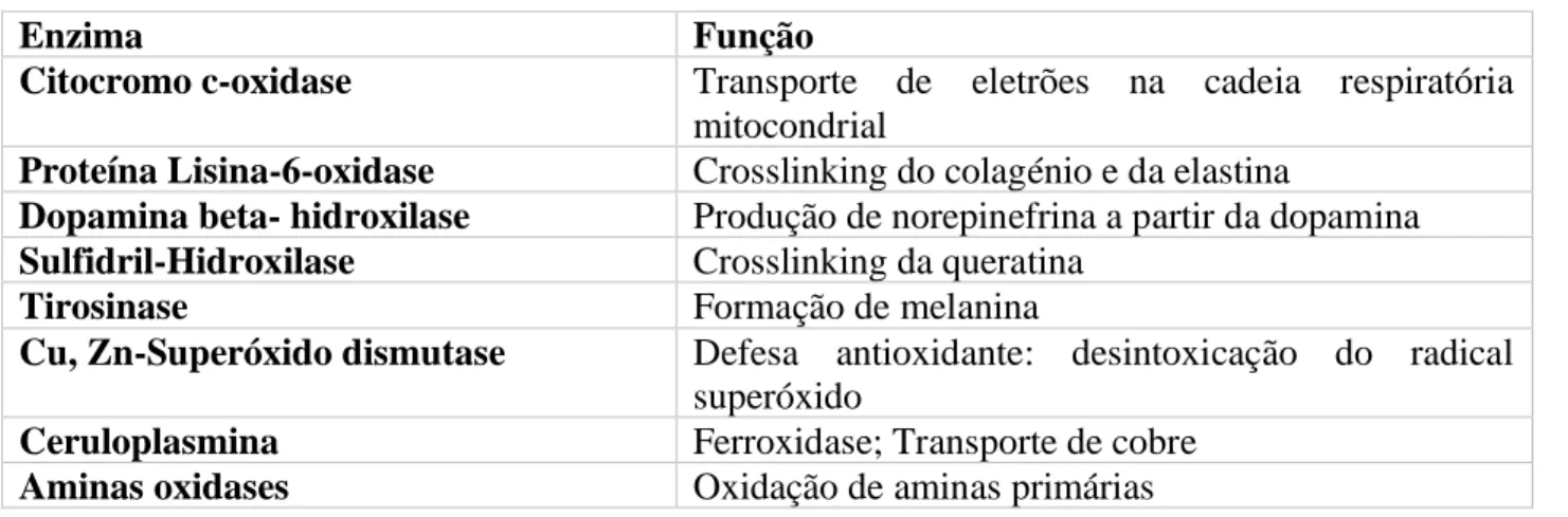 Tabela 2: Exemplo de cuproenzimas e respetivas funções. Adaptada da referência (7,8) 