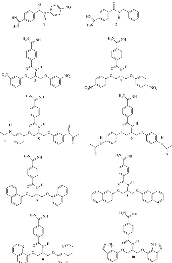 Figura 10 -  Ligantes construídos para os estudos de superposição molecular(docking). 