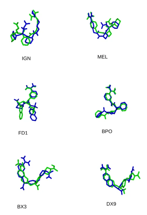 Figura 13 -  Superposição dos ligantes cristalográficos construídos (azul) aos ligantes 