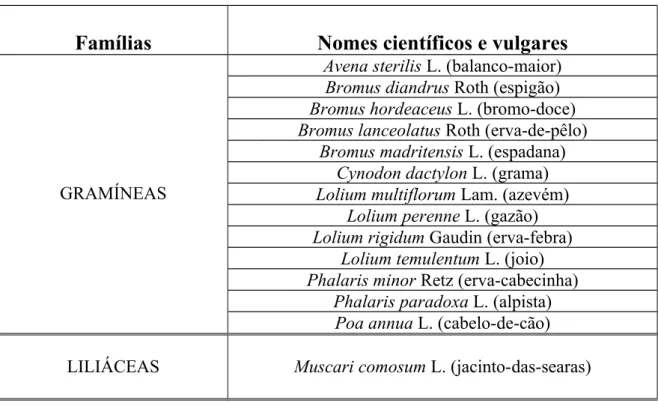 Tabela 1. Famílias, nomes científicos e vulgares das infestantes Monocotiledóneas mais                 comuns em cereais de Outono/Inverno.