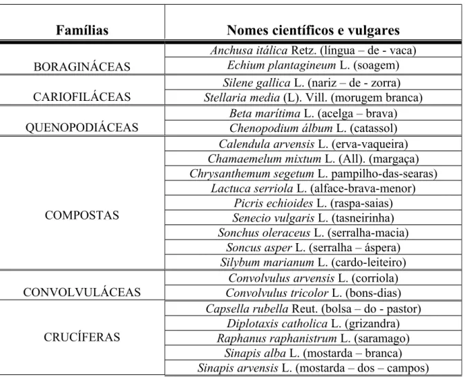 Tabela 2. Famílias, nomes científicos e vulgares das infestantes Dicotiledóneas mais                 comuns em cereais de Outono/Inverno.