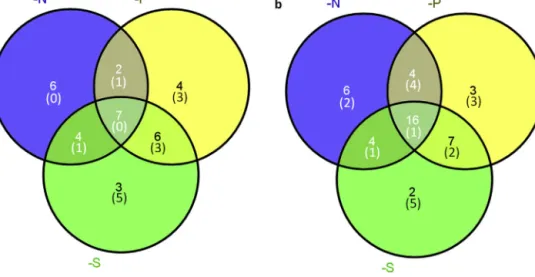 Fig. 2. Venn diagram summarizing the number of unique and common genes showing different trends of gene expression, up- (A) or down-regulated (B), in response to each individual mineral stress imposed (−N, −P and −S), when compared to control conditions