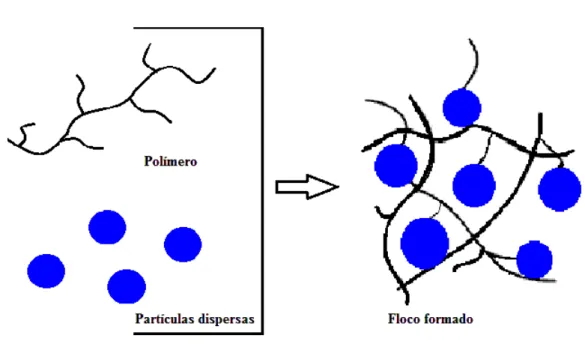 Figura 3.4-Floculação por mecanismo de pontes. 