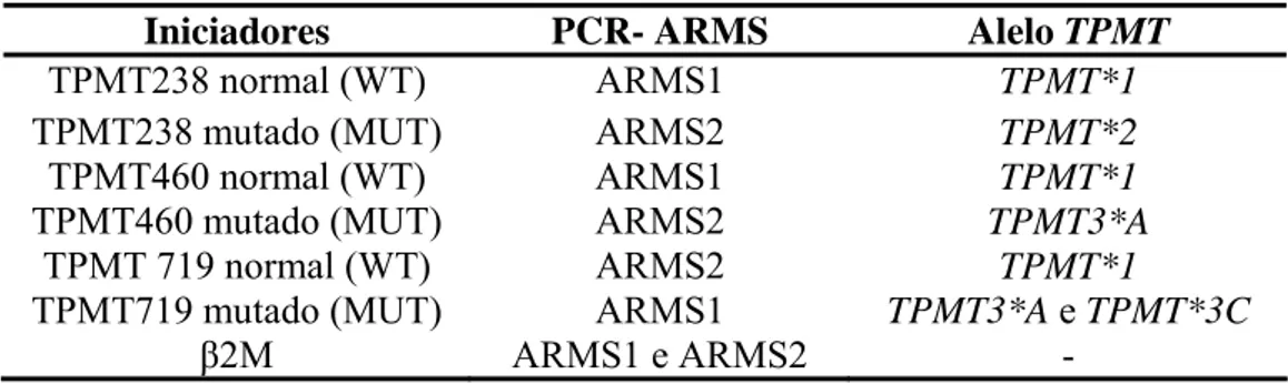Tabela 5 - Agrupamento dos iniciadores em ARMS 1 e ARMS2 (ROBERTS et al., 2004). 