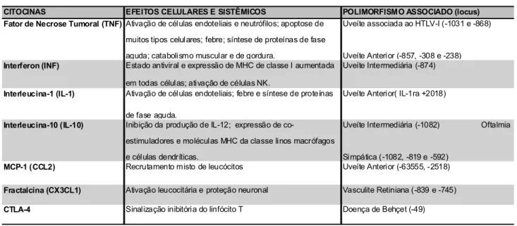 Tabela 2 – Uveítes associadas a Polimorfimos dos Genes das Citocinas: 