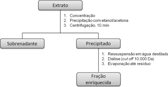 Figura 3.3  –  Representação esquemática dos procedimentos utilizados para a obtenção das  frações enriquecidas em polissacarídeos.