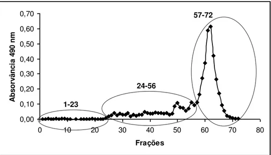 Figura 4.6  –  Perfil cromatográfico do fracionamento 4 de B1 em coluna de Sephadex G-100 