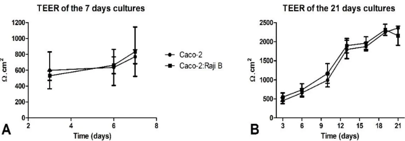 Figure 5 – Evolution of the TEER along the culture time in the different cell models. On A are presented  the TEER values for the monoculture and co-culture of 7 days; on B are presented the TEER values for  monoculture and co-culture of 21 days