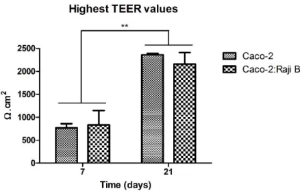 Figure  6  -  Highest  TEER  values  obtained  for  the  7  and  21  days  monocultures  and  co-cultures