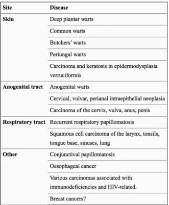 Fig. 1: Os principais papeis das proteínas expressas por HPV de alto risco. In Graham S V