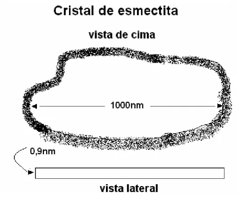 Figura IV.3- Cristal de esmectita. Fonte:  http://www.scprod.com