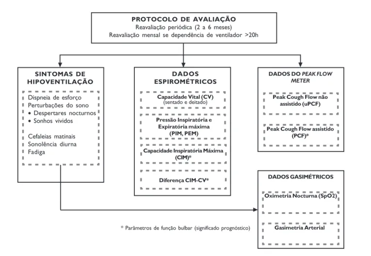 Figura 2: Algoritmos e fluxograma de intervenção proposta pelo protocolo de Afonso Rocha &amp; Miranda (2007)PROTOCOLO DE AVALIAÇÃO