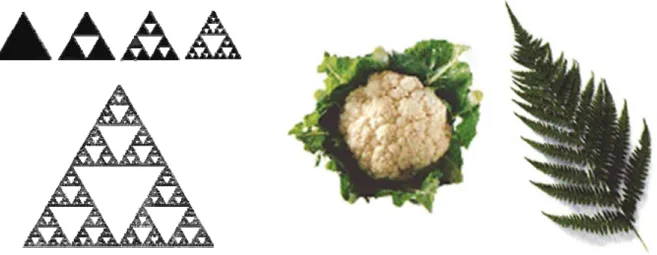 Figura 1: Triângulo de dimensões fractais. Figura 2: Exemplos de Fractais na Natureza