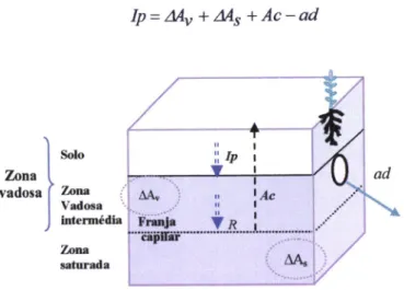 Figura  6  -  Infiltração  profunda  tomando  o  volume  de  elementar  de  referência  (YER)  abaixo da  fronteira  da  infiltração  profunda