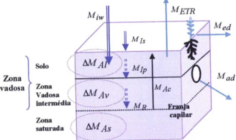 Figura  8  - Massa  de  soluto presente  na  inÍiltração  superficial  tomando  o  volume elementar abaixo  da  fronteira  da  inÍiltração  superÍicial