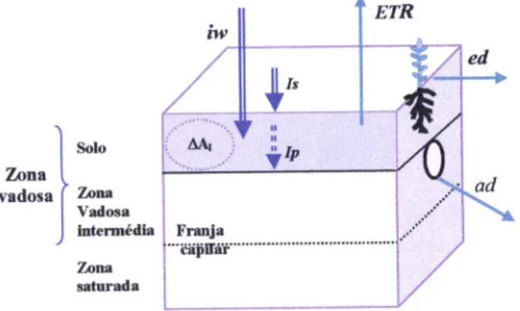 Figura  11  -  Balanço  hídrico  da camada  de solo  considerando  que  o nível freático  se  encontra sempre  abaixo  da  base  do  solo