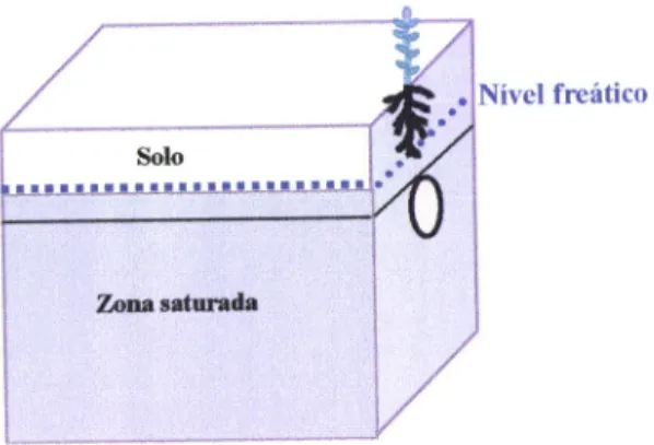Figura  14  -  Posição  do nível  freático  quando  se  encontra entre  a  superÍície  e a  base  do  solo