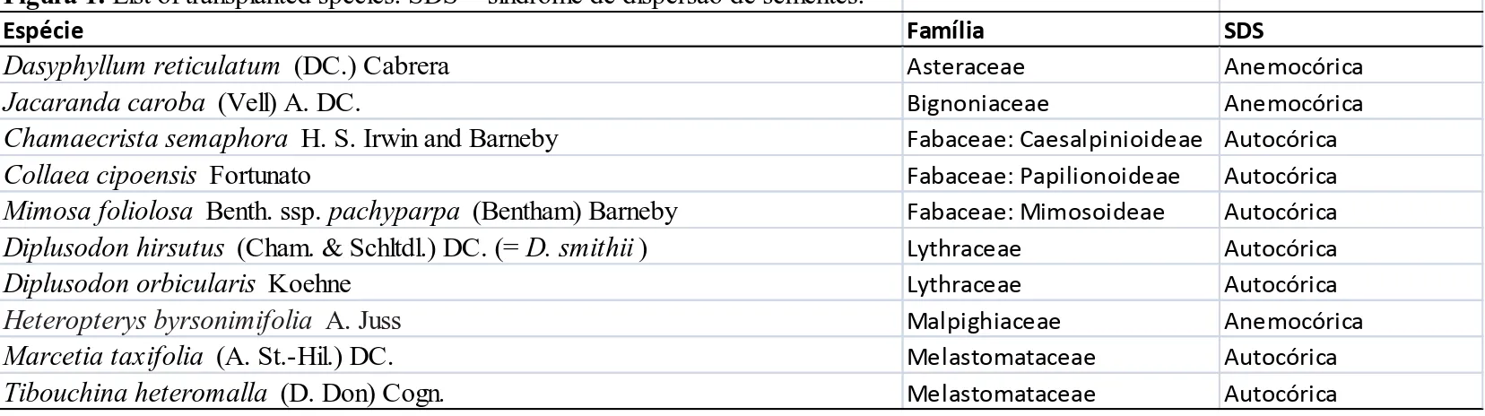 Figura 1. List of transplanted species. SDS = síndrome de dispersão de sementes.