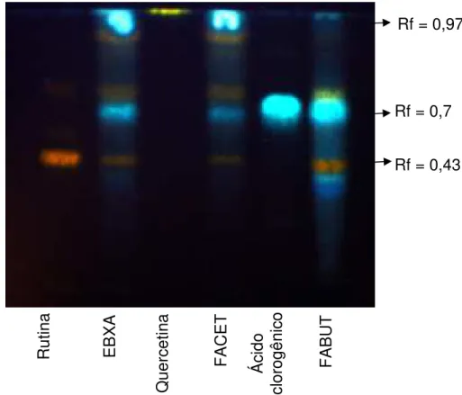 Figura  12.  CCD  para  identificação  de  flavonoides.  Padrões,  rutina,  quercetina  e 