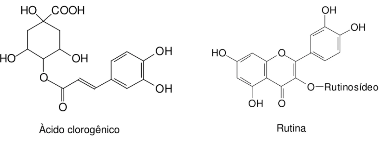 Figura  13.  Estrutura  química  das  substâncias  fenólicas  identificadas  por  CCD  nos frutos de X