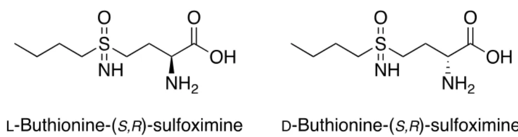 Figure 1. Chemical structure of buthionine sulfoximine isomers. 